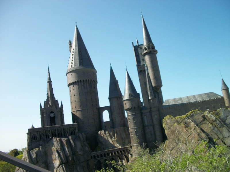 The Wizarding World of Harry Potter Good_t24