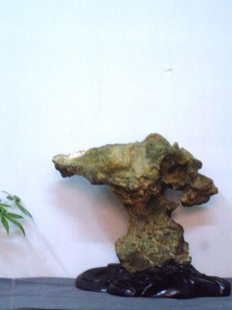 Bonsai stone P5028320