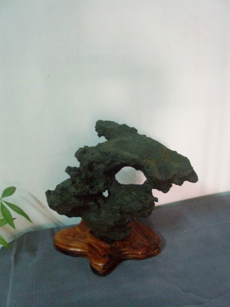 Bonsai stone P5048510