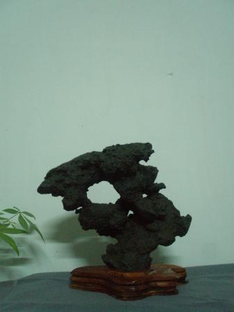 Bonsai stone P5048513