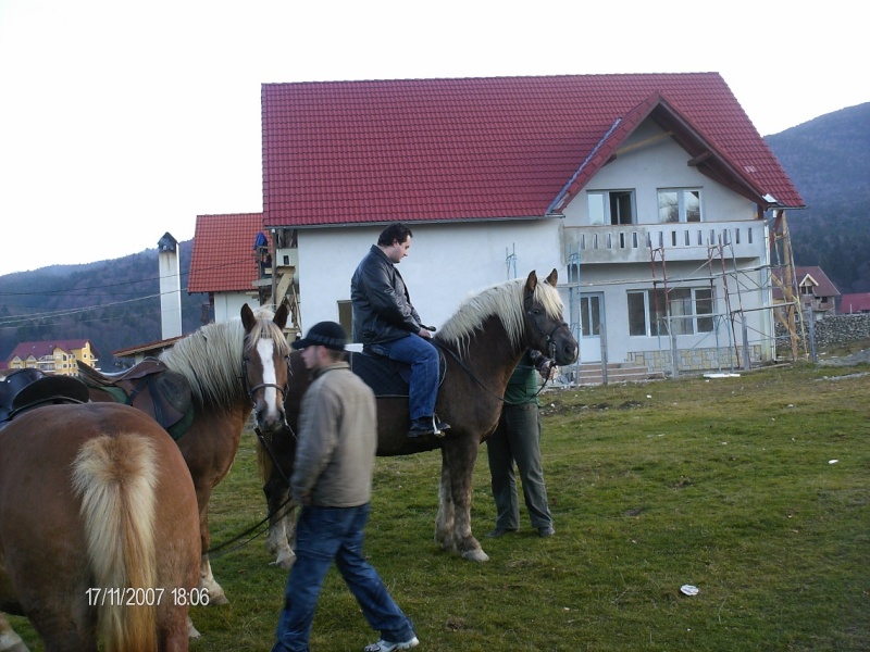 Poze...cu pomul de iarna :D....decente :D Cal10