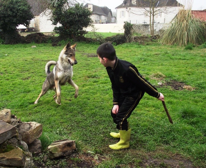 mes Z'amours de Chiens Loups Tchèques - Page 2 Vacanc11