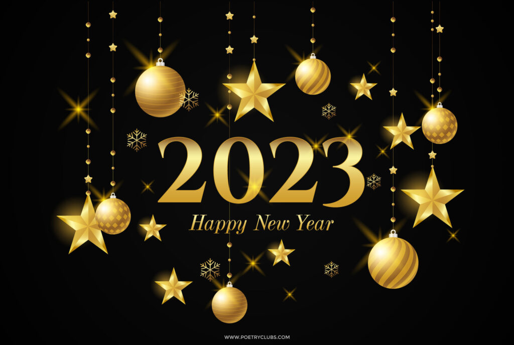 Bonne et heureuse année 2011 .....2016 , 2017 , 2018 , 2019 , 2021, 2022..... - Page 7 Happy-12