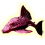 Pleco's Fish