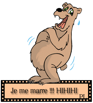 il fait triste,alleztous mettez une vido marrante pour rire - Page 6 Je_me_11