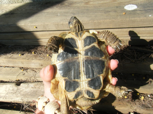 Identification ! Abc00017