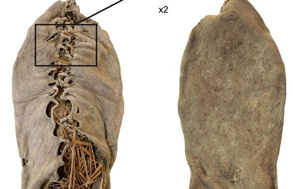La plus vieille chaussure du monde a 5.500 ans Articl10