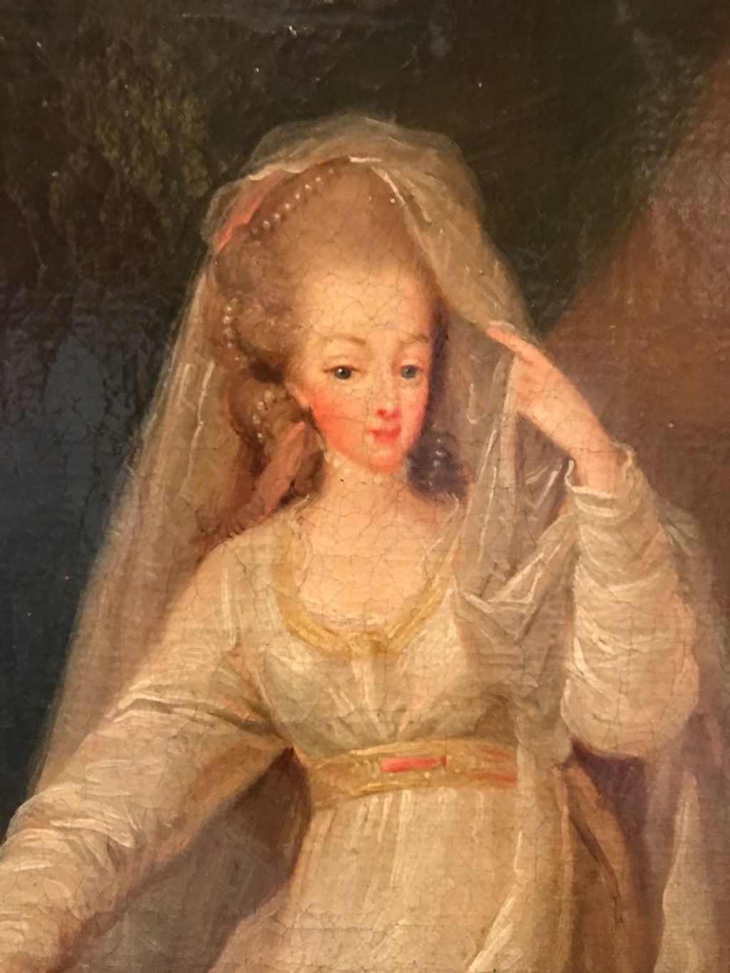 Portraits de Marie-Antoinette et de la famille royale par Charles Le Clercq ou Leclerq - Page 2 74172510