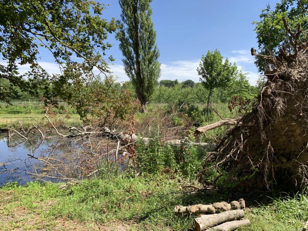 Le domaine de Jeurre et les fabriques du parc de Méréville F9f9cf10