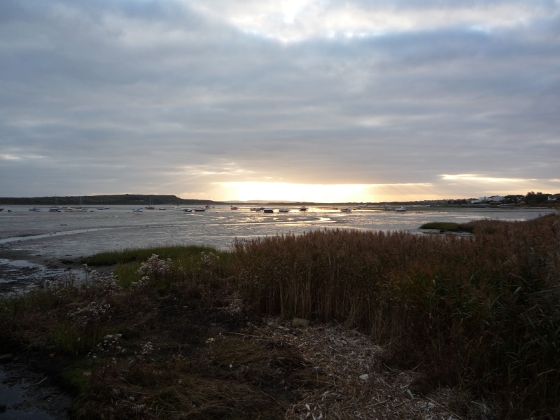 Mudeford 00211