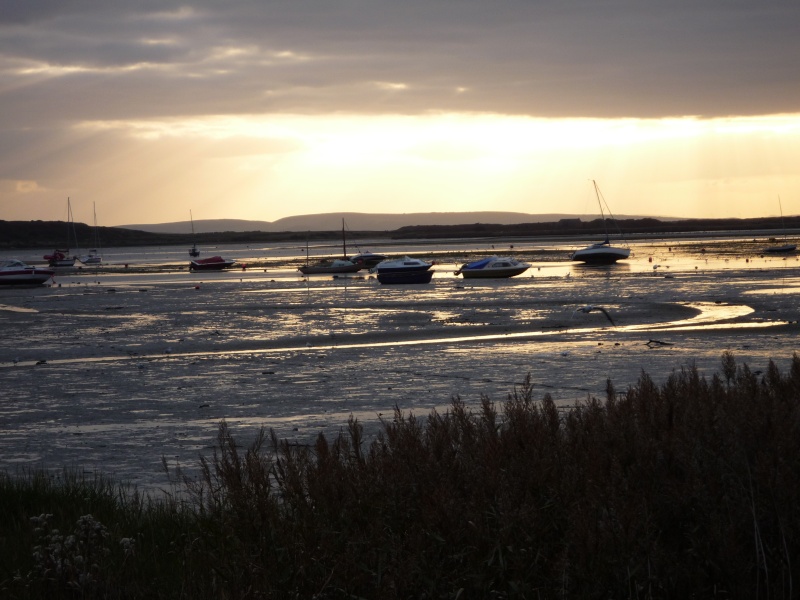 Mudeford 00310