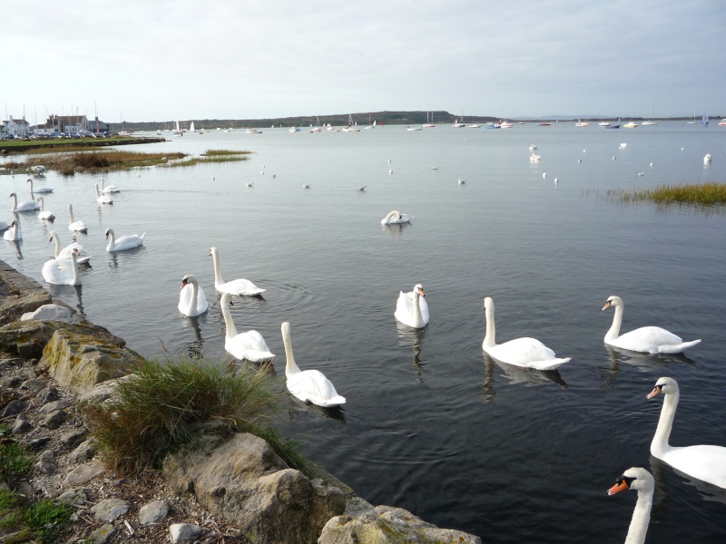 Mudeford 00910