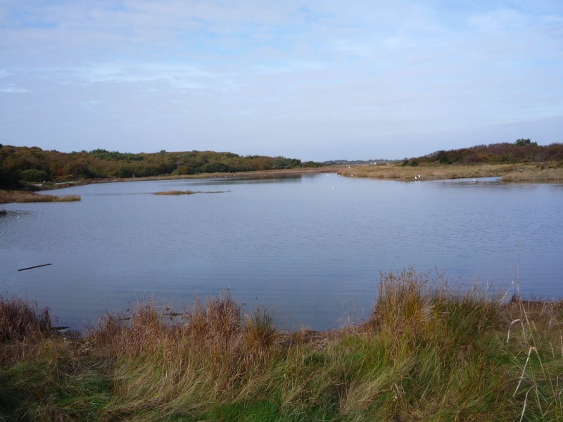 Mudeford 02110