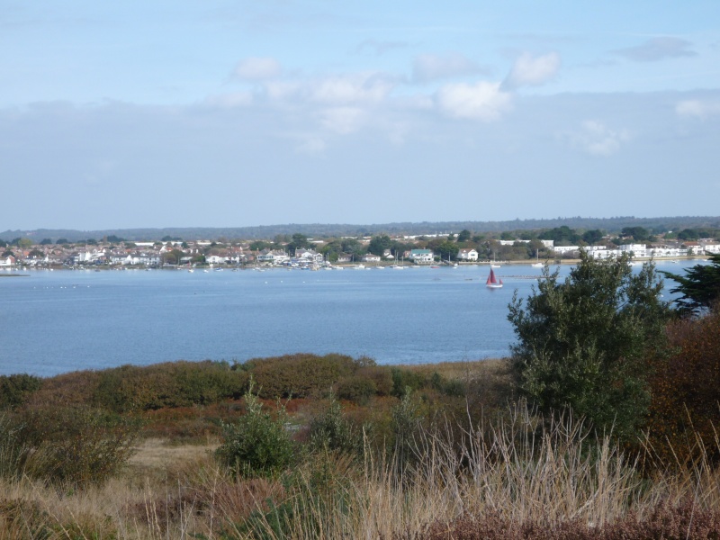 Mudeford 02312