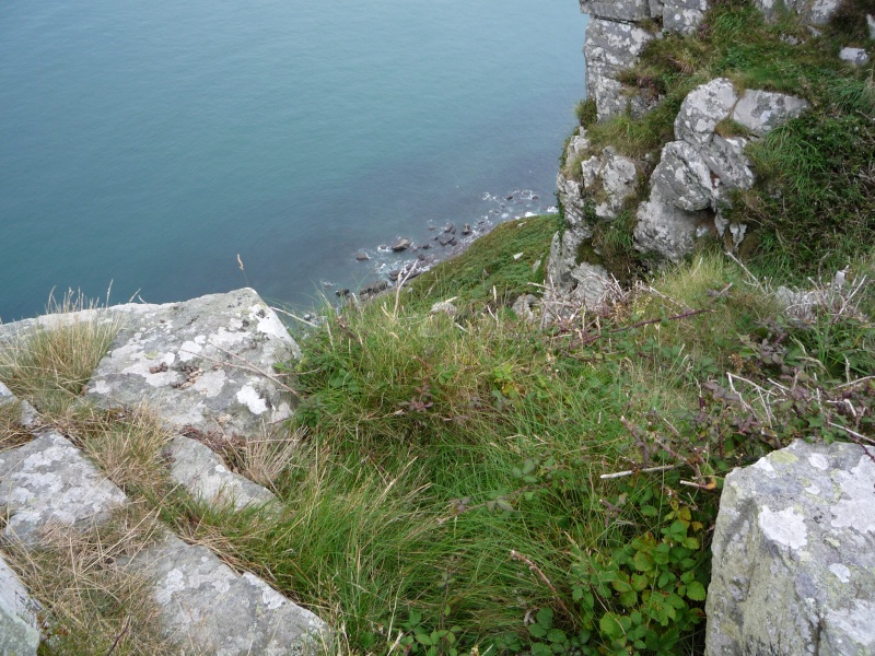 Lynmouth and Lynton Exmoor Devon P1000519