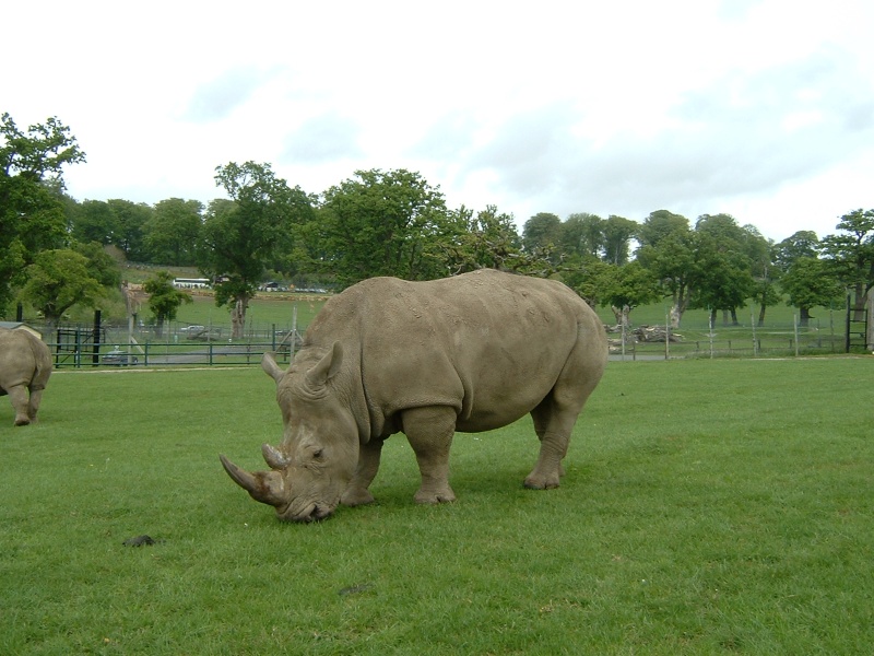 Longleat, two nights at Bath Arms Hotel Pictur22