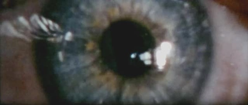 Image subliminal de la planete X et autre dans le film "PAUL" 2011-012