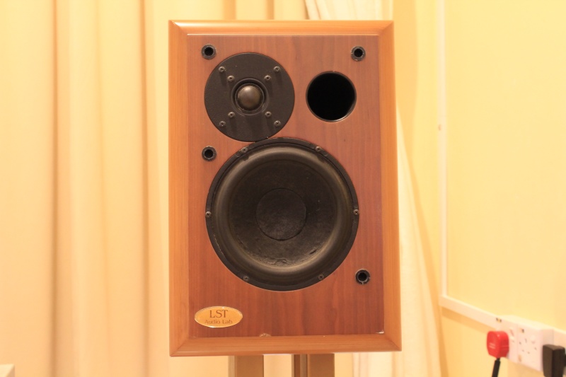 Lst Basik Monitor Speaker