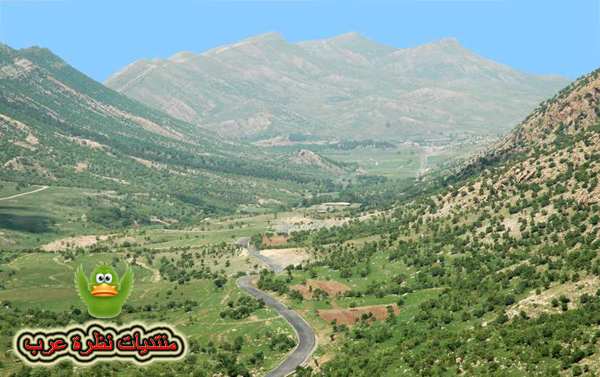صور جبال الساحل في سوريا كسب صلنفه غابات الفرلق Att00032