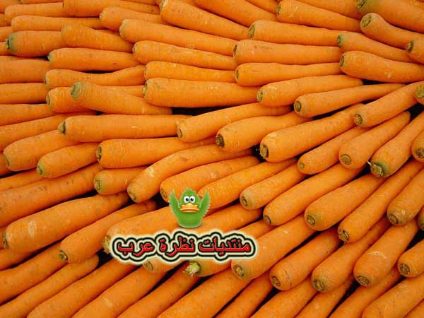 سَـلّـةّ الّفّوآكّـهّ والخَضَرَوآتّ ]~ Carrot10