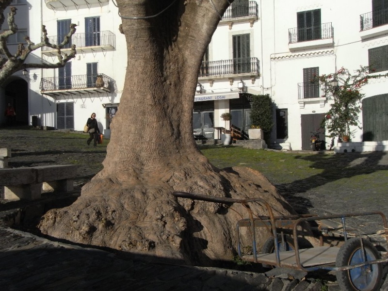 Maison de DALI à Cadaquès en Espagne Espagn12