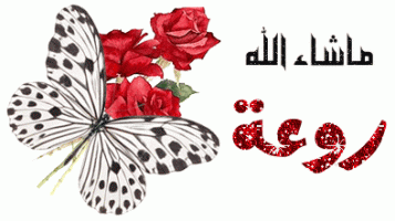 كرات اللحم بالصلصة Sigpic10