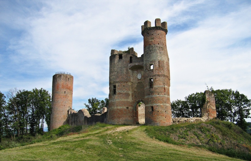Château de Bressieux (Isère) Bressi10