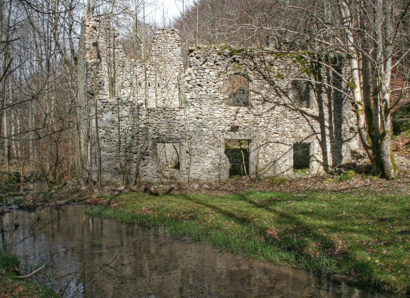 Ruine dans le petit bois près de la rivière Ruine-10