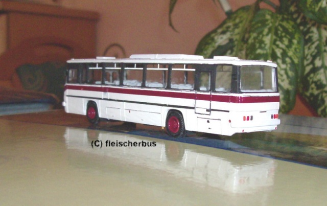 IKARUS von Fleischerbus - Seite 1 263_0613