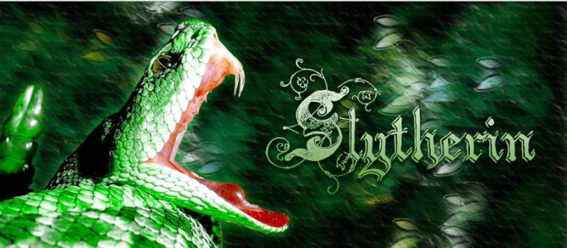 Slytherin Common Room Slythe11