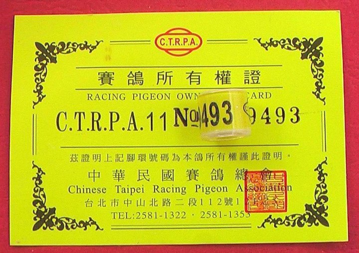 Bagues Pour Pigeons : CHINA   2011 + CARTE  China11