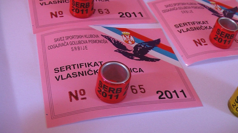 Bagues Pour Pigeons : SERBIE 2011 + CARTE  Imga0510