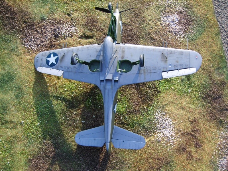 P-39 Airacobra S8000024