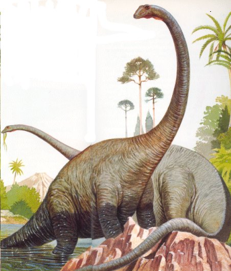 tahukah anda? brontosaurus ternyata hanyalah tipuan? Diplod10