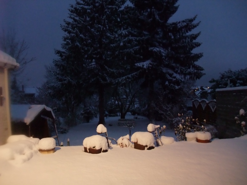 un de mes fils mon jardin sous la neige Dscf7111