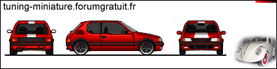 [1er duel] Peugeot 205 GTI 205_so10