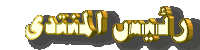 مدير المنتدى مدير المنتدى