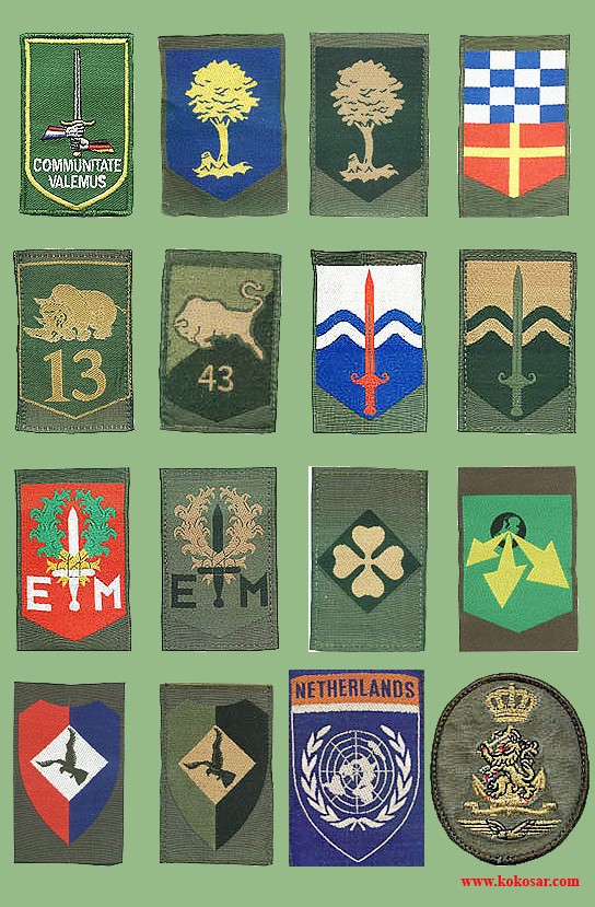 Holland armed forces insignias Holvoj11