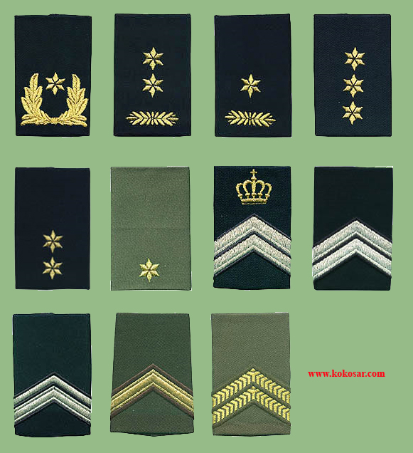 Holland armed forces insignias Holvoj12