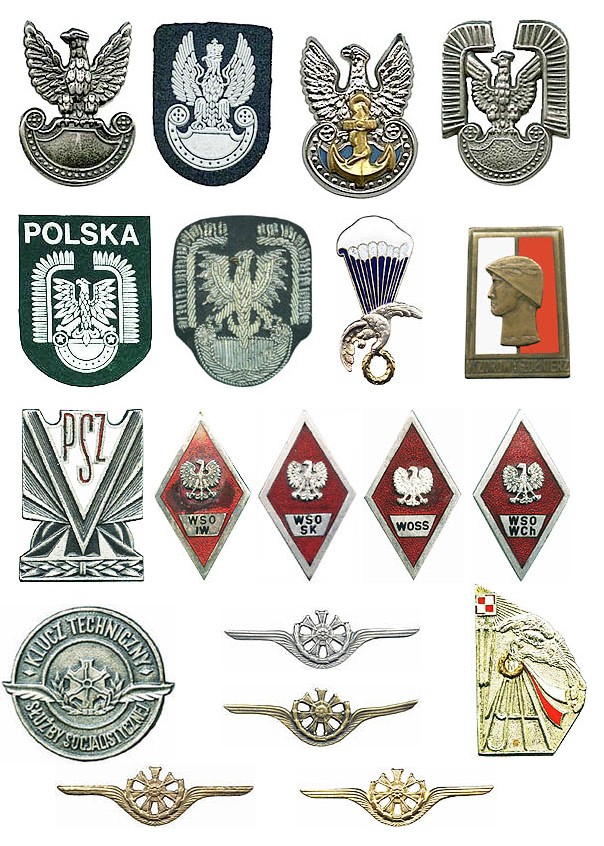 Polish military insignias from my collection Polska10