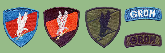 Polish military insignias from my collection Polska11