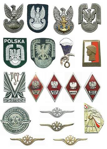 Polish military insignias from my collection
