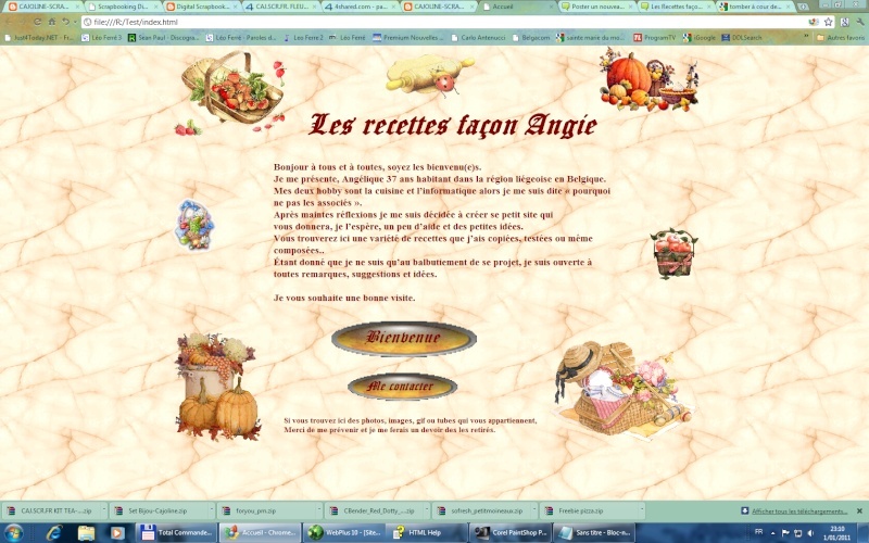 Mon site web Les recettes façon Angie Index11