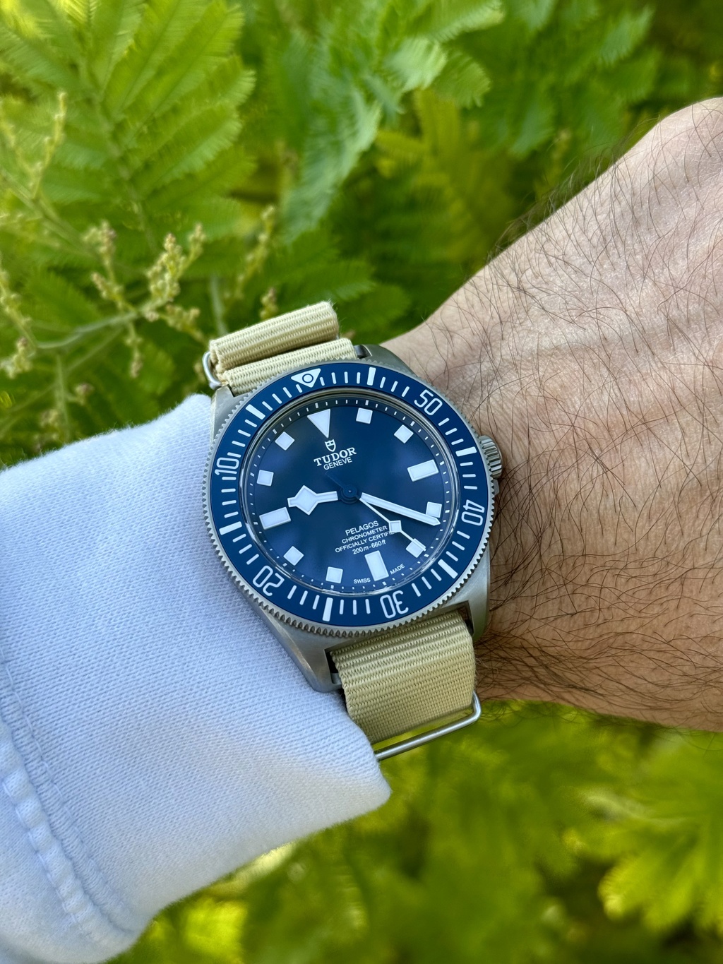 [Broc] tudor pelagos MN23 Img_1847