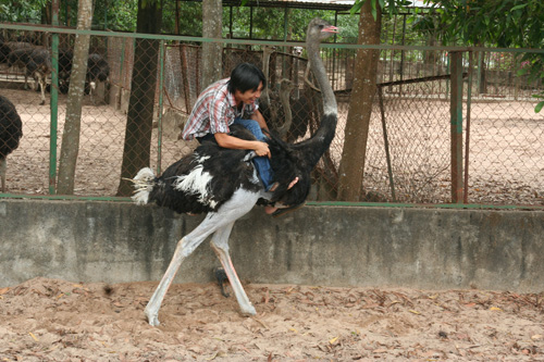 Hình ảnh sinh hoạt ngày 27/3 Img_0111