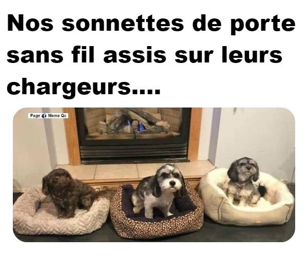 Humour et bonne humeur - Page 4 17569a10