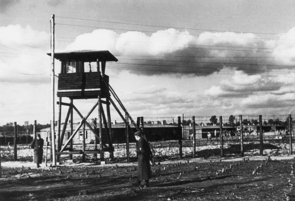 Auschwitz et Birkenau photos actuelles 87524