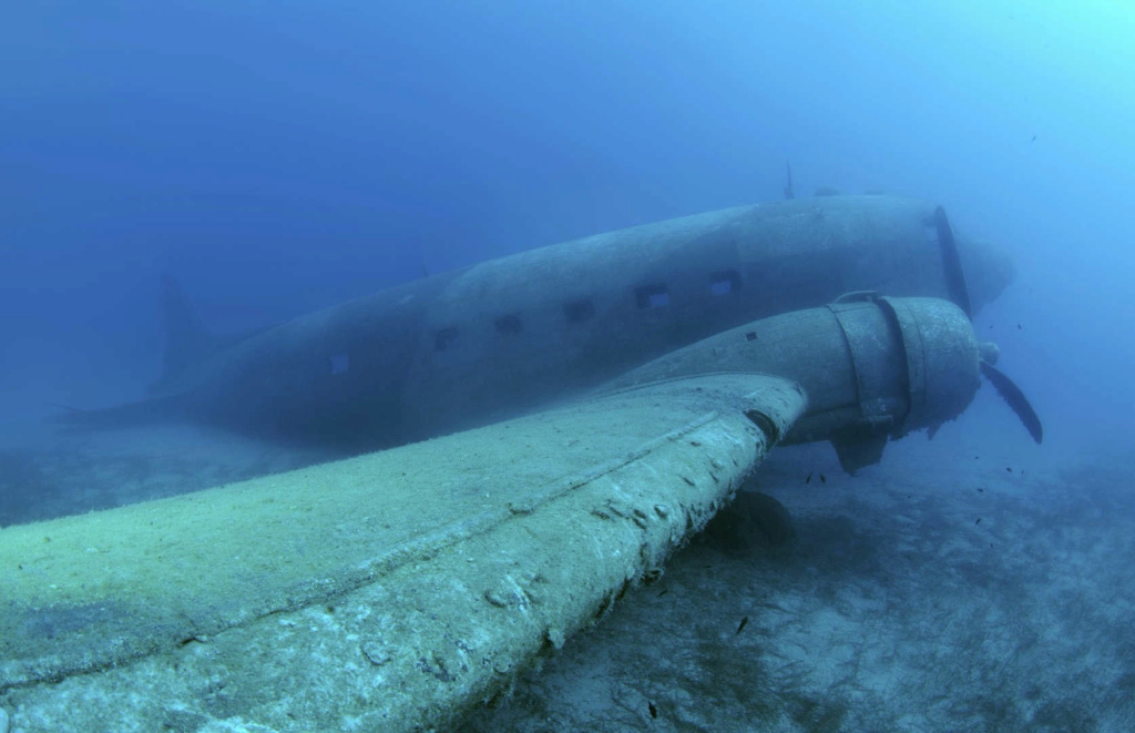 Découverte des fonds sous-marins F610