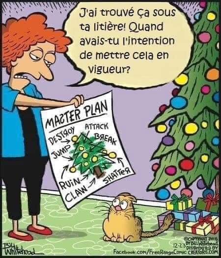Humour divers - Page 14 Fb_im327