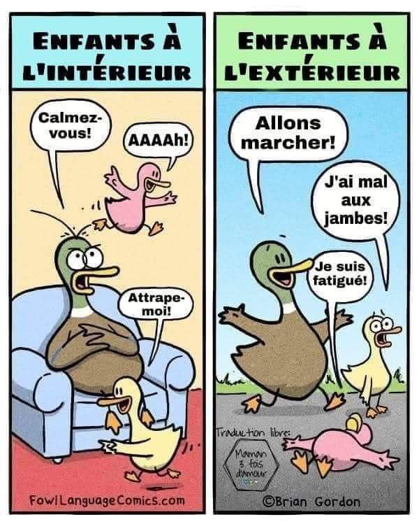 Humour divers - Page 14 Fb_im328